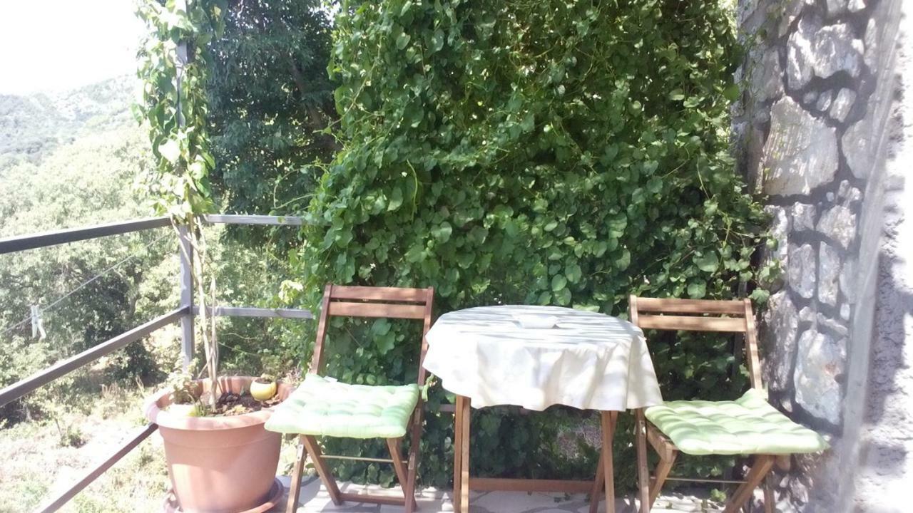 Cottage Melita The Apartment For Animal Lovers Babino Polje Εξωτερικό φωτογραφία
