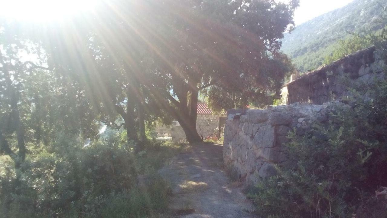 Cottage Melita The Apartment For Animal Lovers Babino Polje Εξωτερικό φωτογραφία