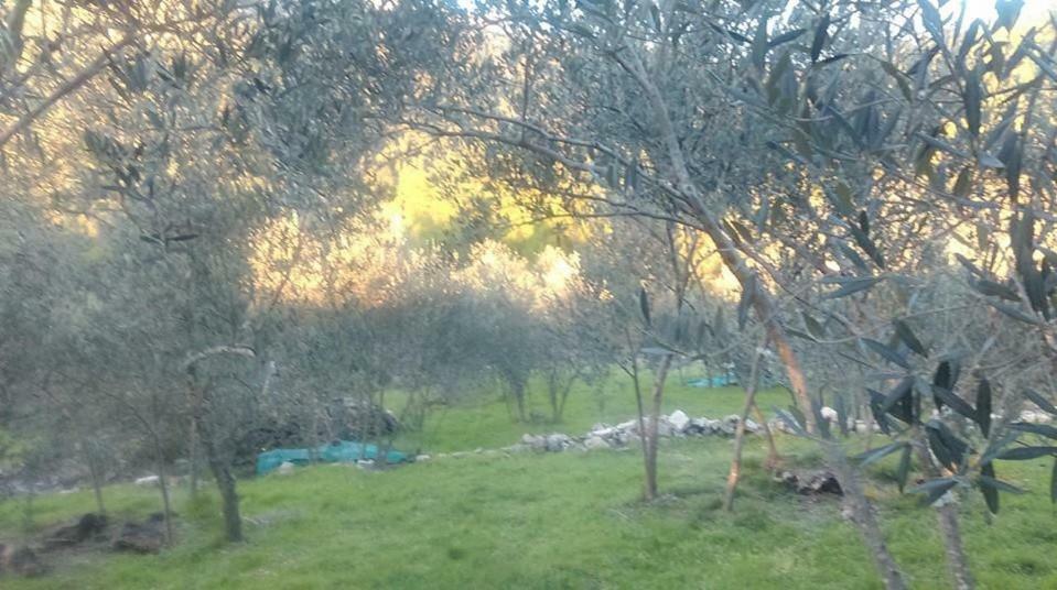 Cottage Melita The Apartment For Animal Lovers Babino Polje Εξωτερικό φωτογραφία