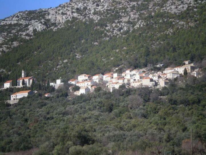 Cottage Melita The Apartment For Animal Lovers Babino Polje Εξωτερικό φωτογραφία