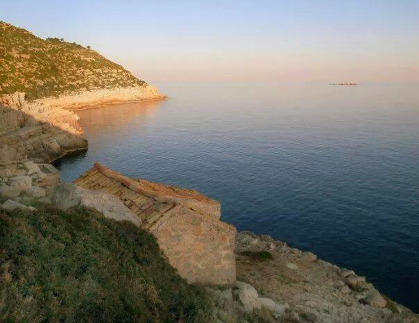 Cottage Melita The Apartment For Animal Lovers Babino Polje Εξωτερικό φωτογραφία