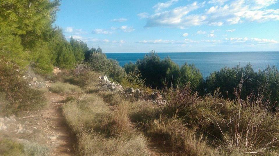 Cottage Melita The Apartment For Animal Lovers Babino Polje Εξωτερικό φωτογραφία
