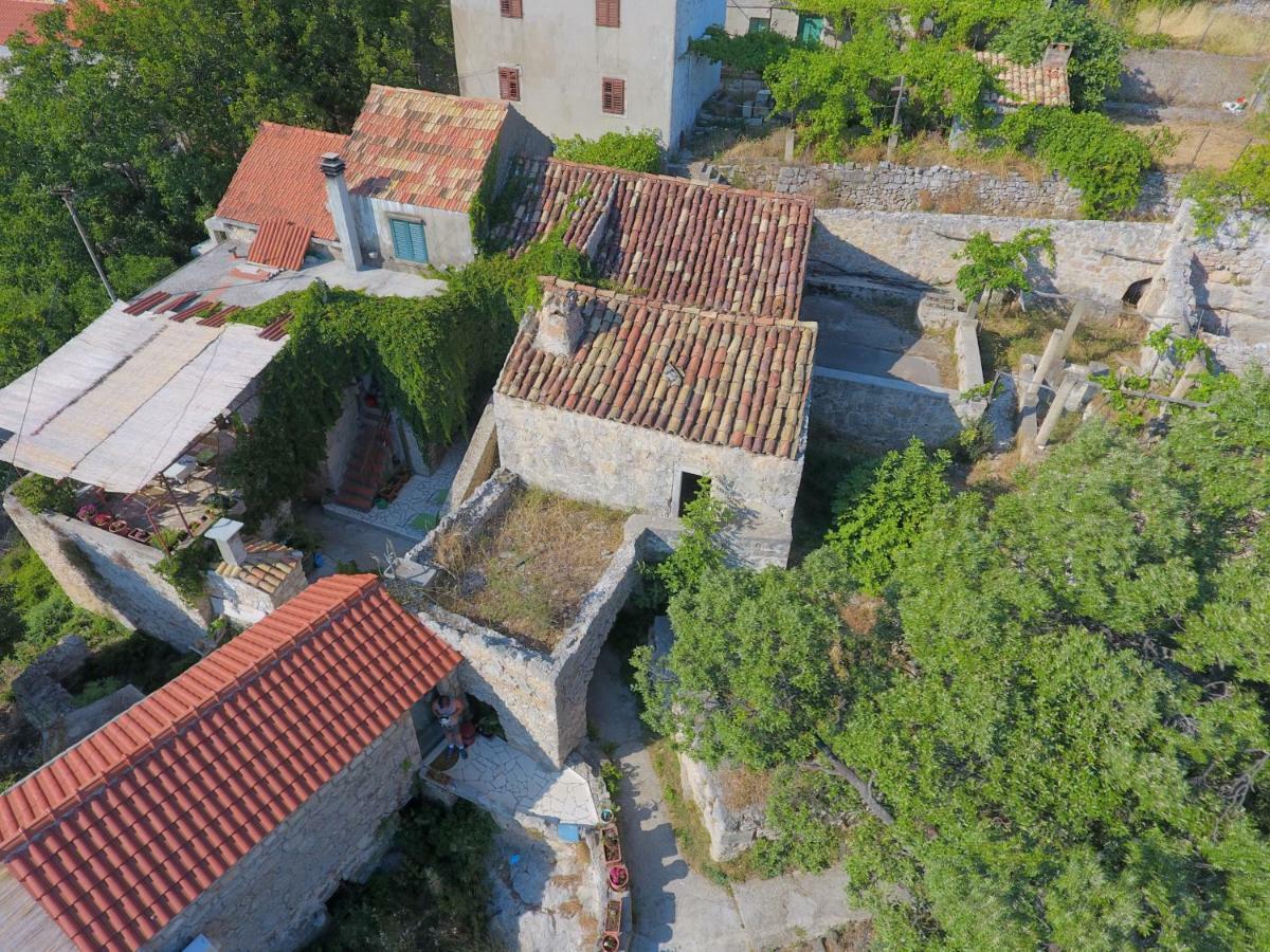 Cottage Melita The Apartment For Animal Lovers Babino Polje Εξωτερικό φωτογραφία